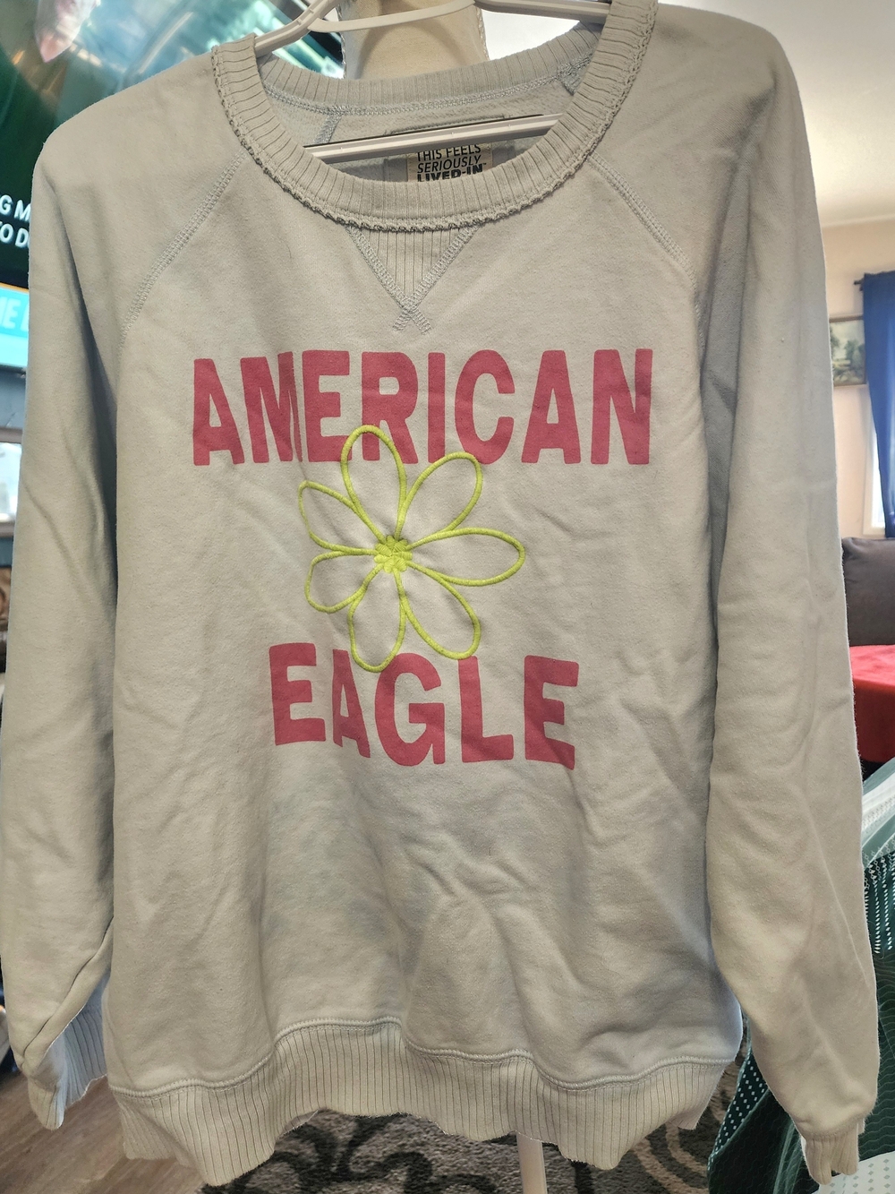 American Eagle Outfitters Light Blue Sweatshirt SzXXL